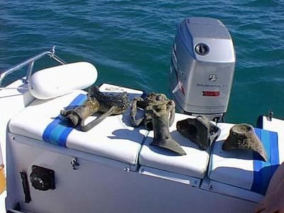 Reperti subacquei dei fondali dell'antica costa di Salapia